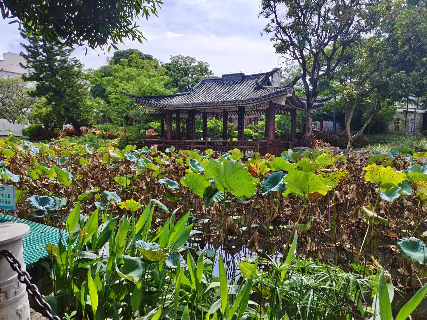 勸學(xué)島.jpg 勸學(xué)島.jpg