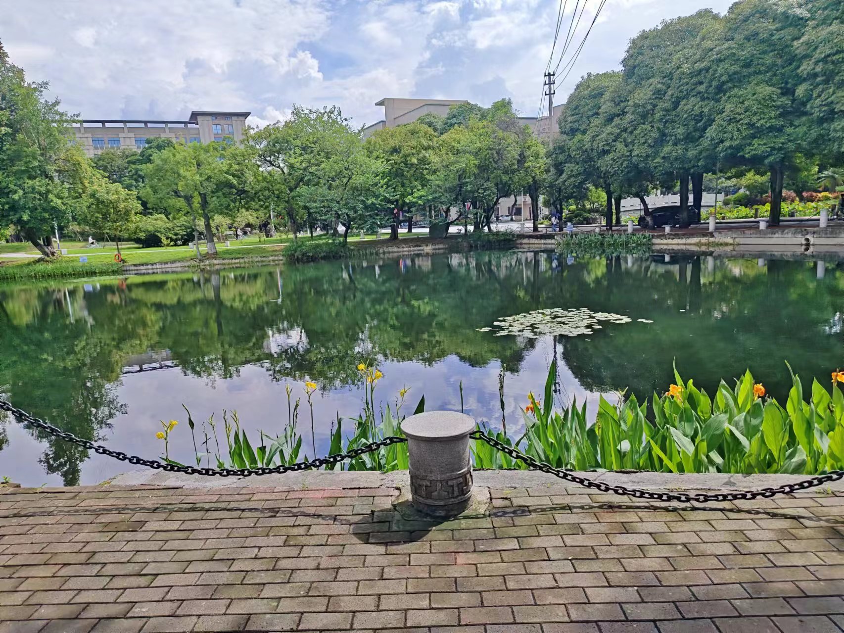 綠水荷塘.jpg 綠水荷塘.jpg