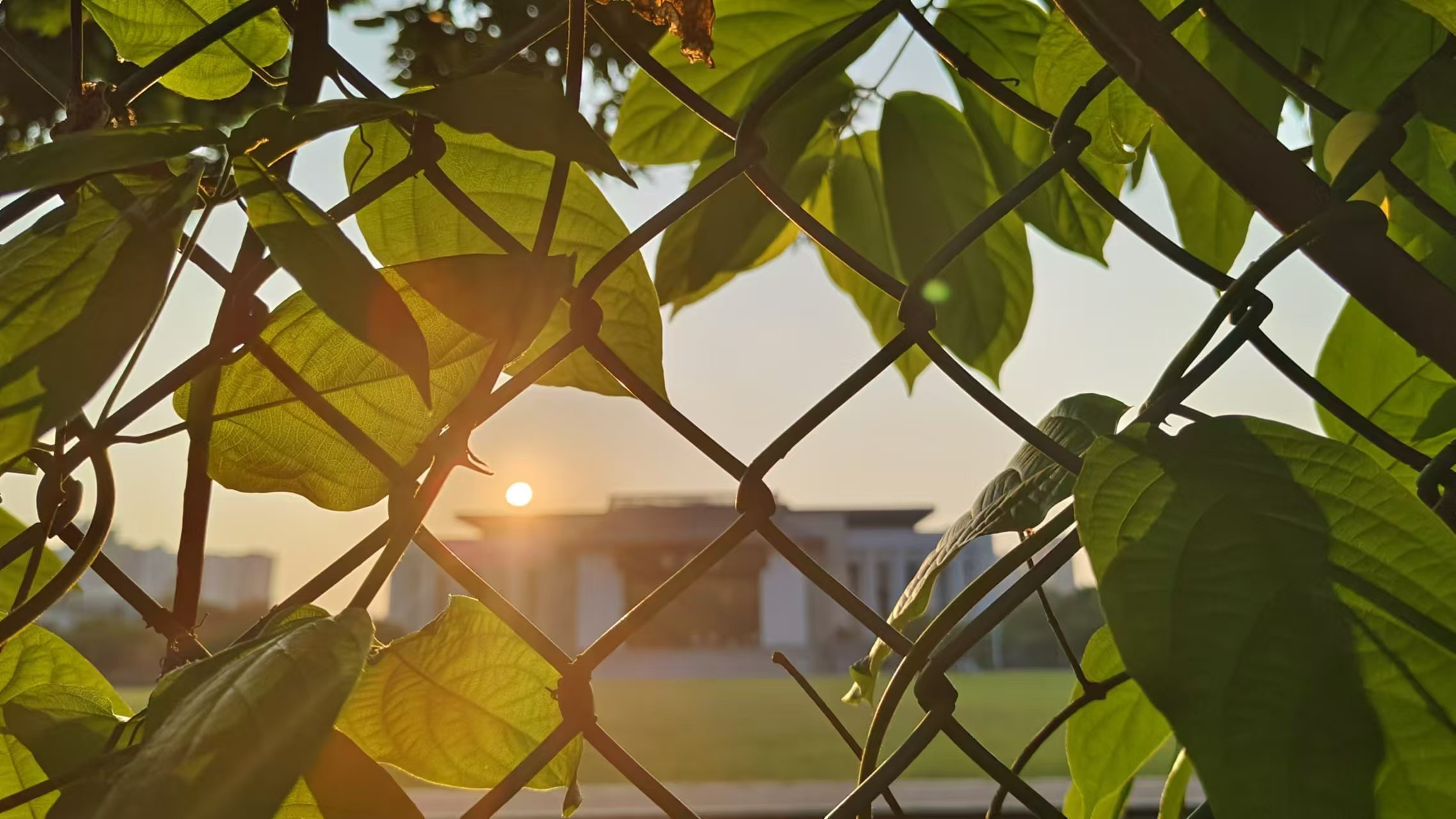 微信圖片_20241017081814.jpg 微信圖片_20241017081814.jpg