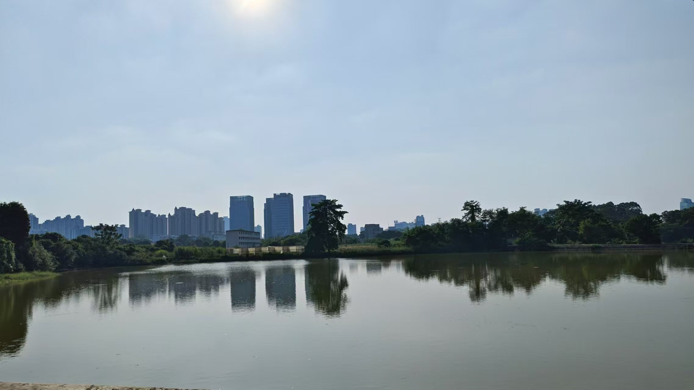 微信圖片_20241017082524.jpg 微信圖片_20241017082524.jpg